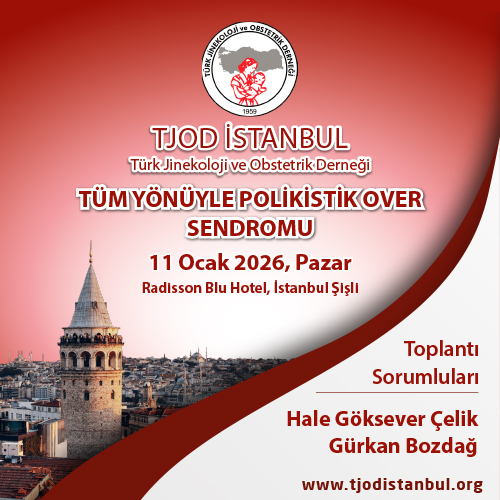 Tüm Yönüyle Polikistik Over Sendromu